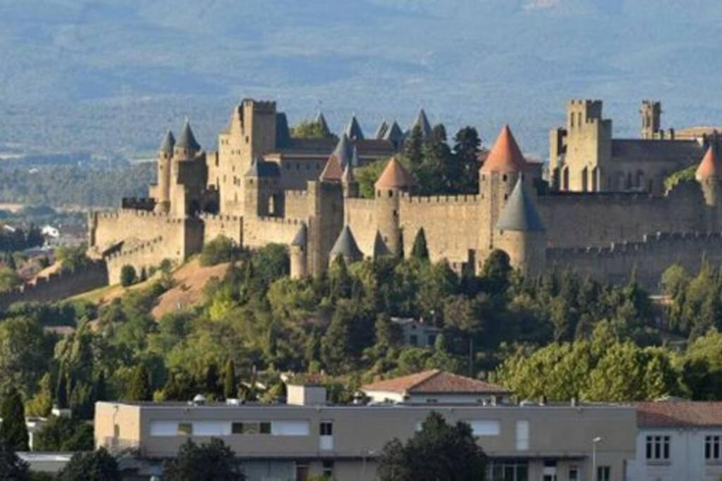 La Halte Du Canal カルカソンヌ エクステリア 写真